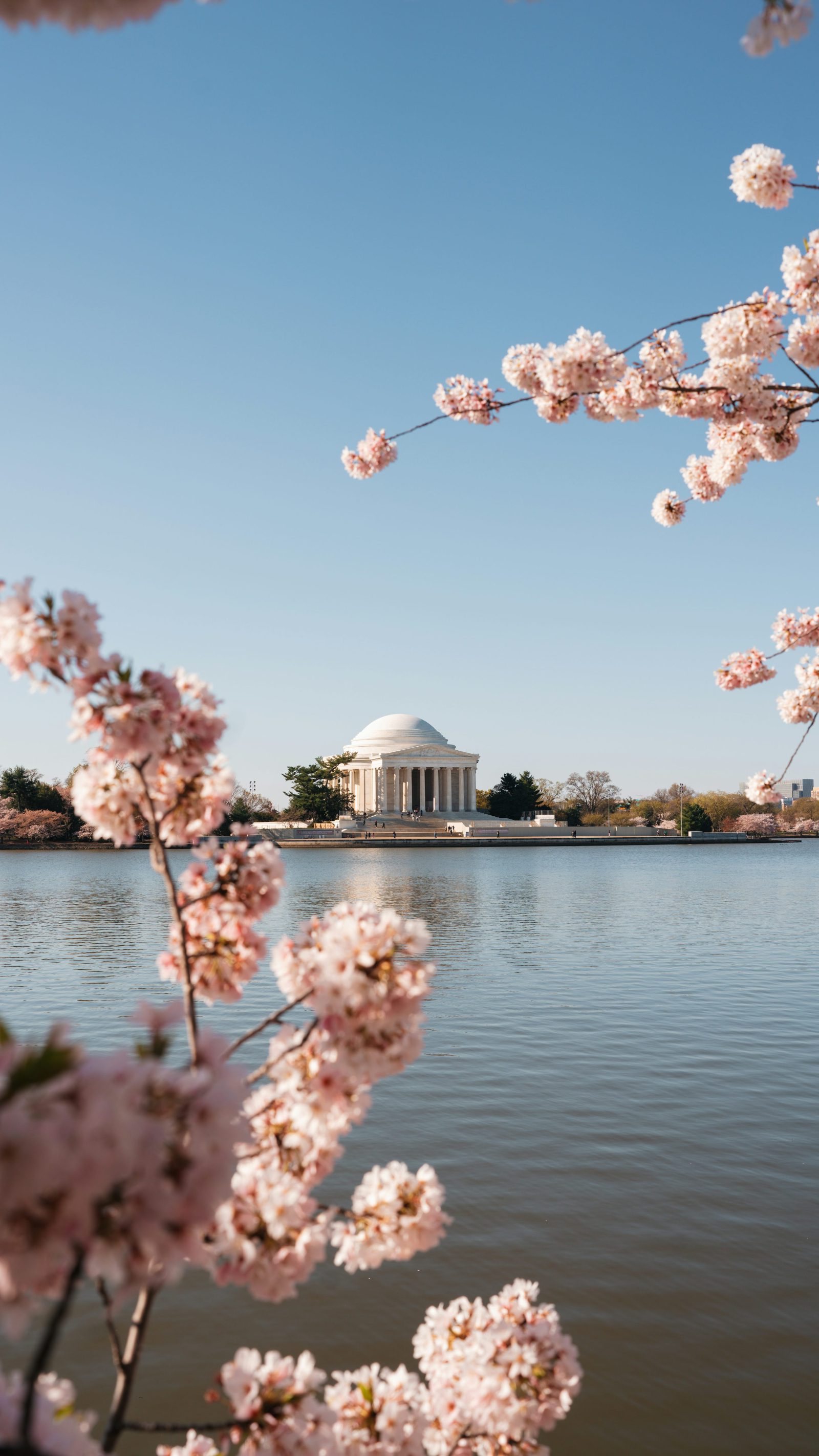 Jefferson Memorial Reflection
