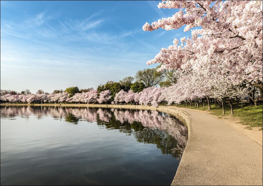 Tidal Basin Inlet