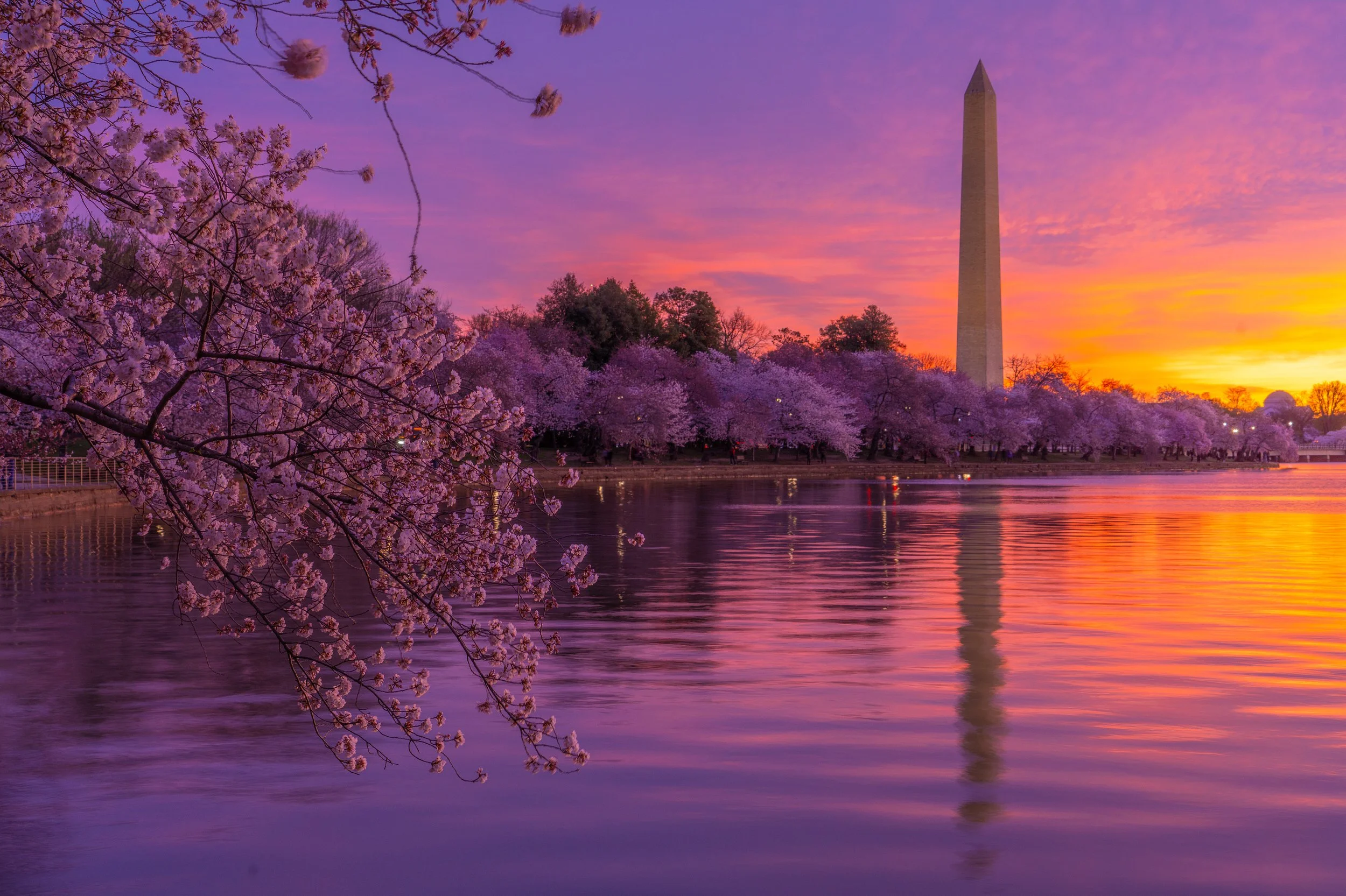 National Mall Skyline