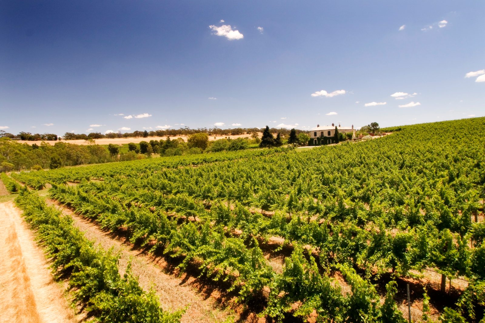 Clare Valley Wine Tours Prices