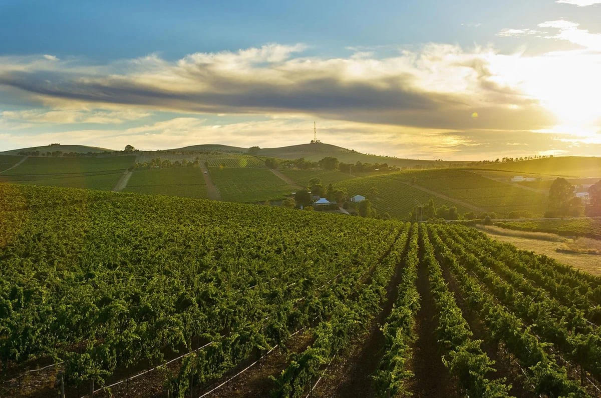 Clare Valley Day Trip
