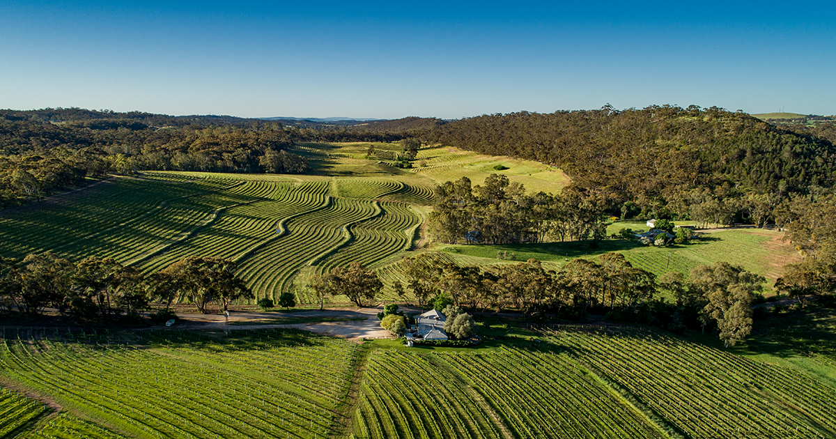 Clare Valley Wine Tours Reviews