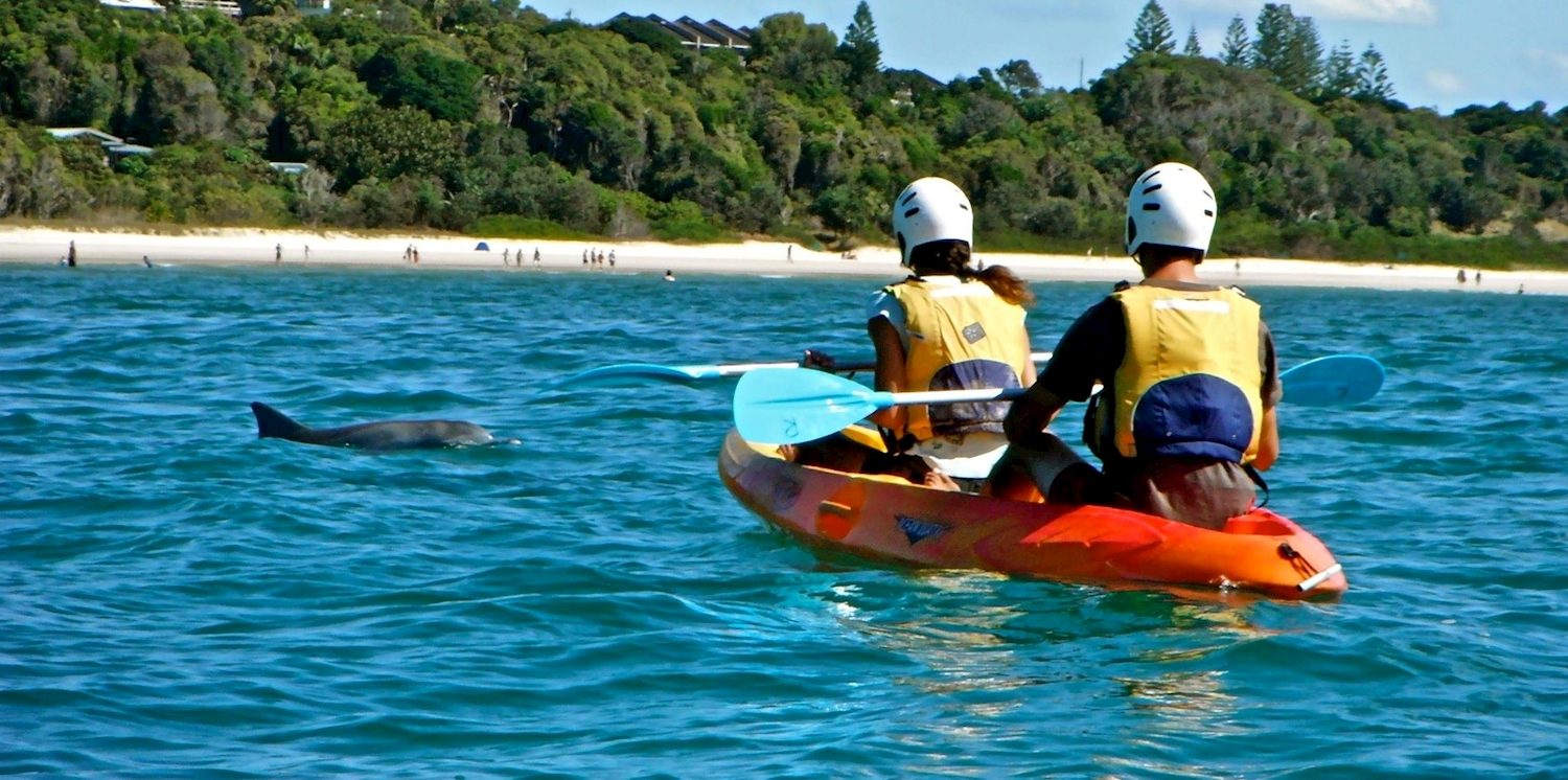 Byron Bay Sea Kayak Tour With Dolphins and Turtles