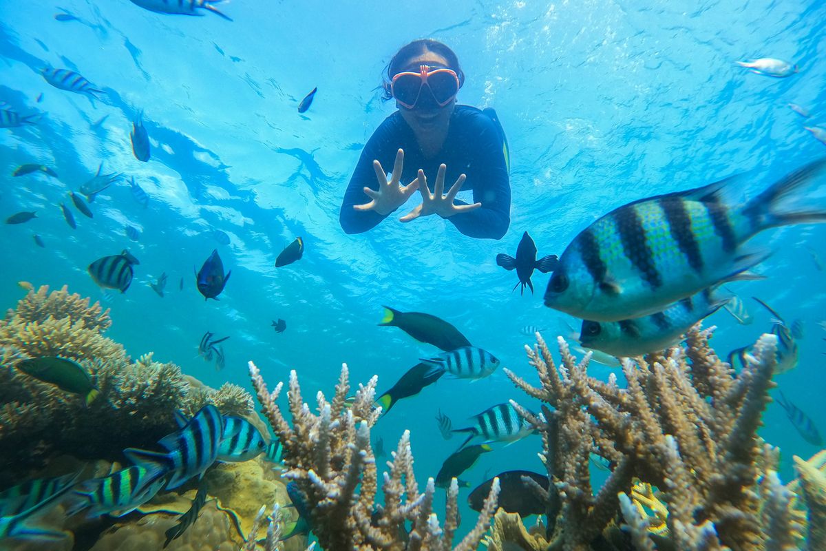 Snorkeling Karimunjawa Harga