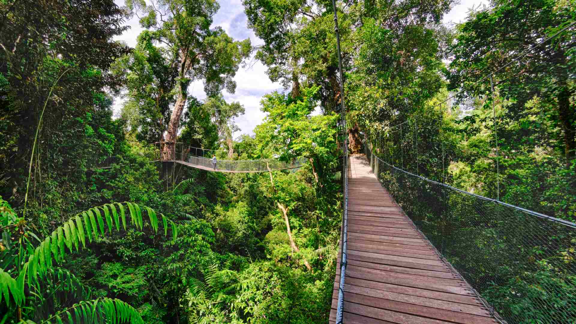 Gaya Island