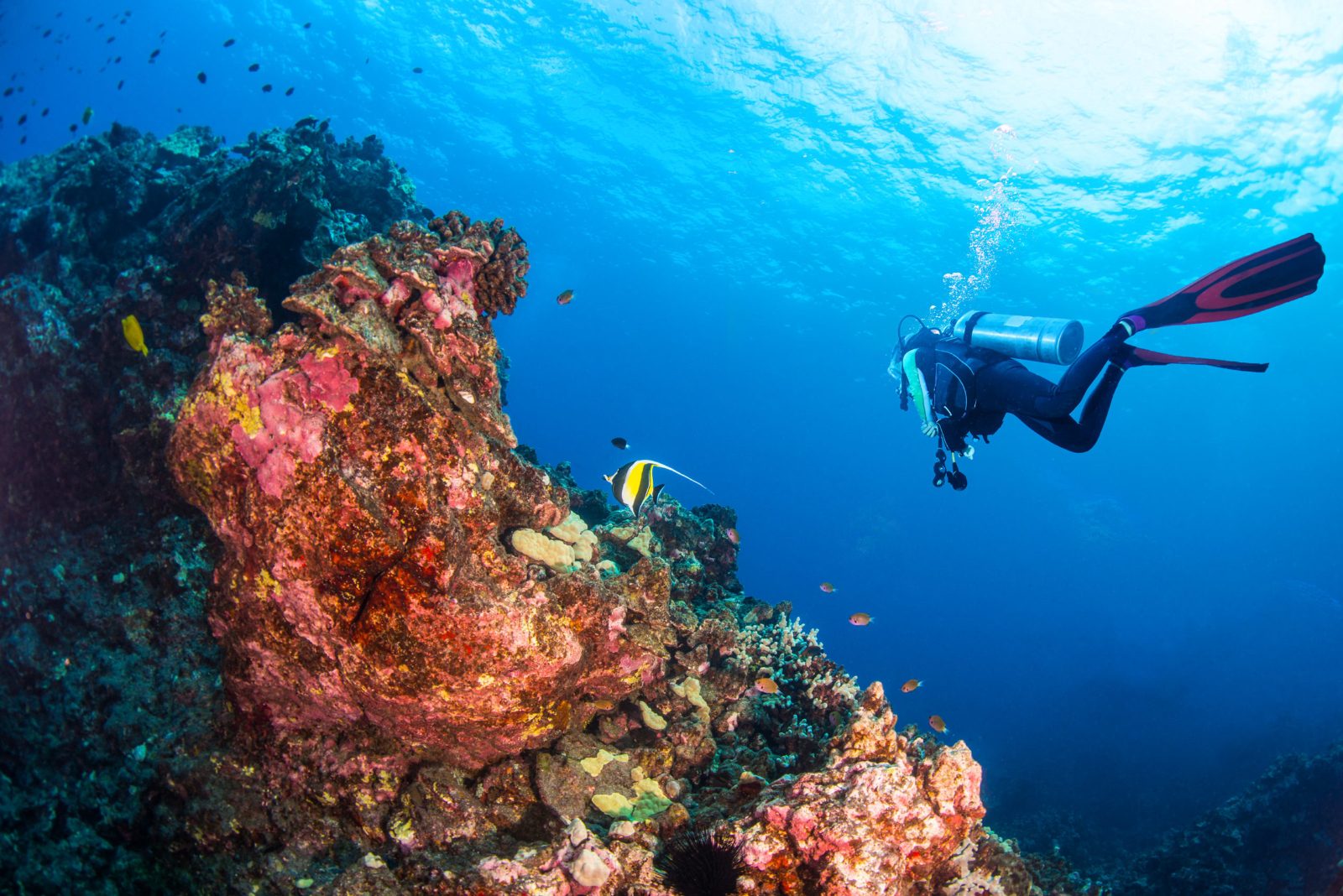 Is Scuba Diving in Hawaii Dangerous