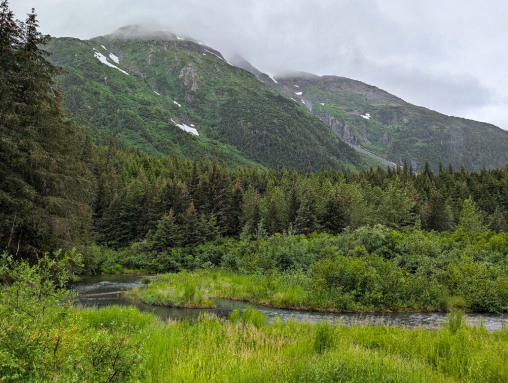 Alpine Scenery