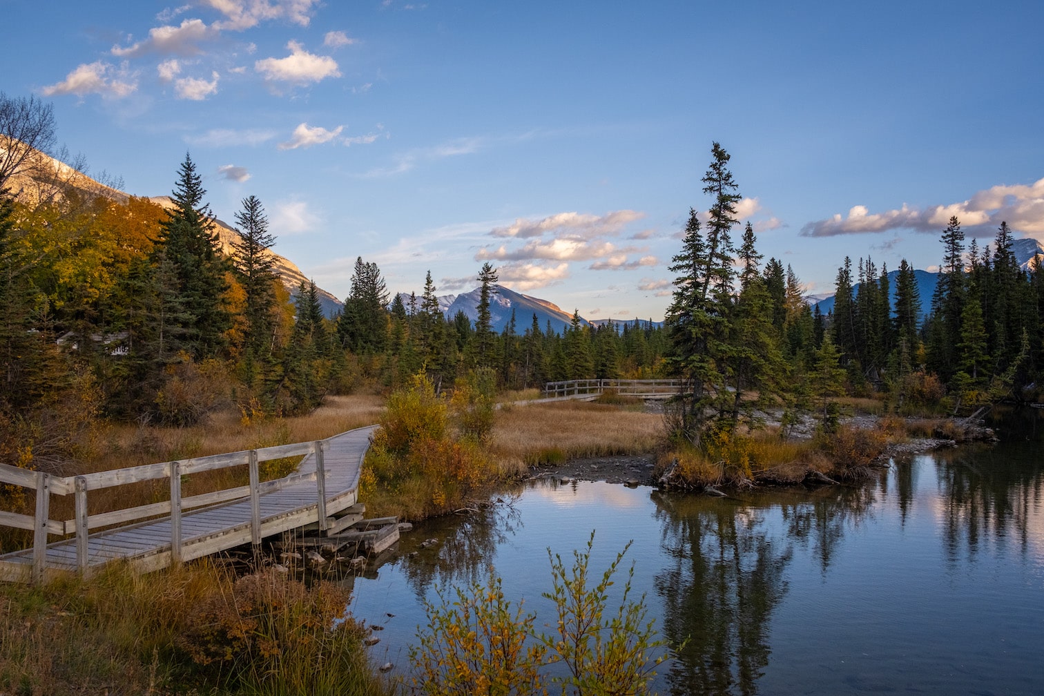 Policeman's Creek Boardwalk