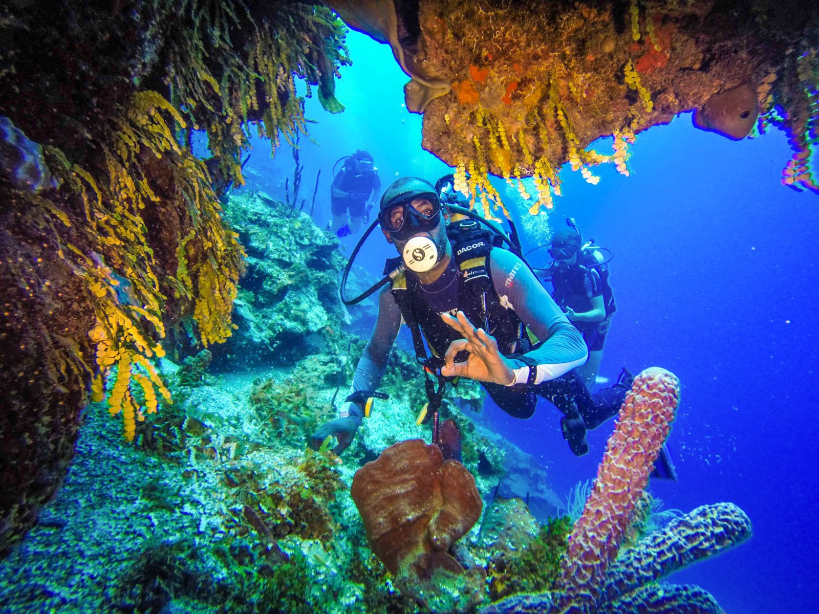 Riu Guanacaste Scuba Diving