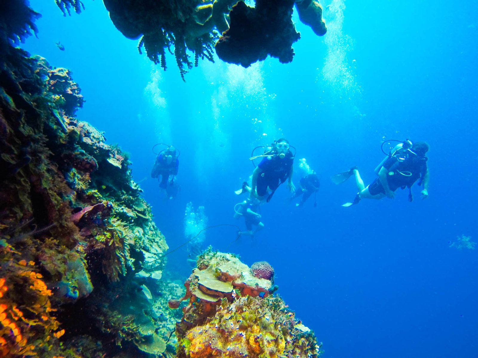 Is Costa Rica Good for Scuba Diving