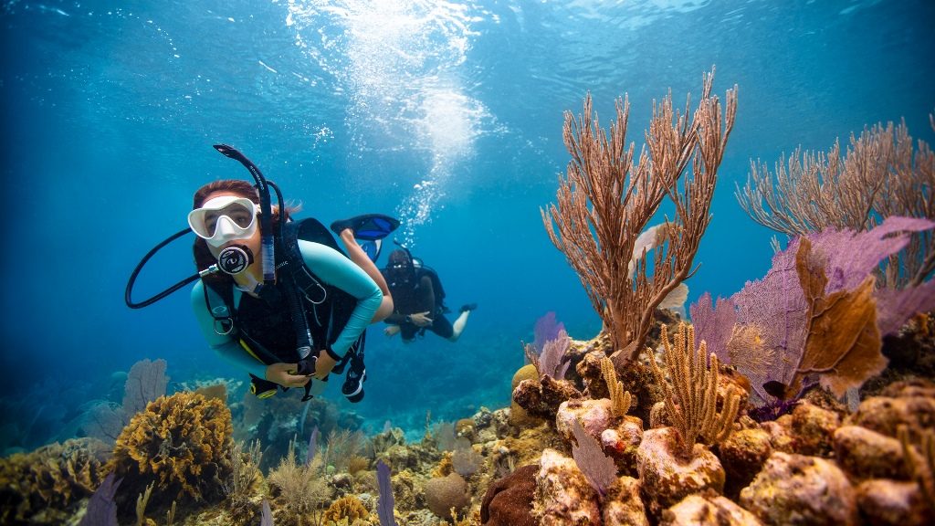 Diving in Costa Rica Reviews