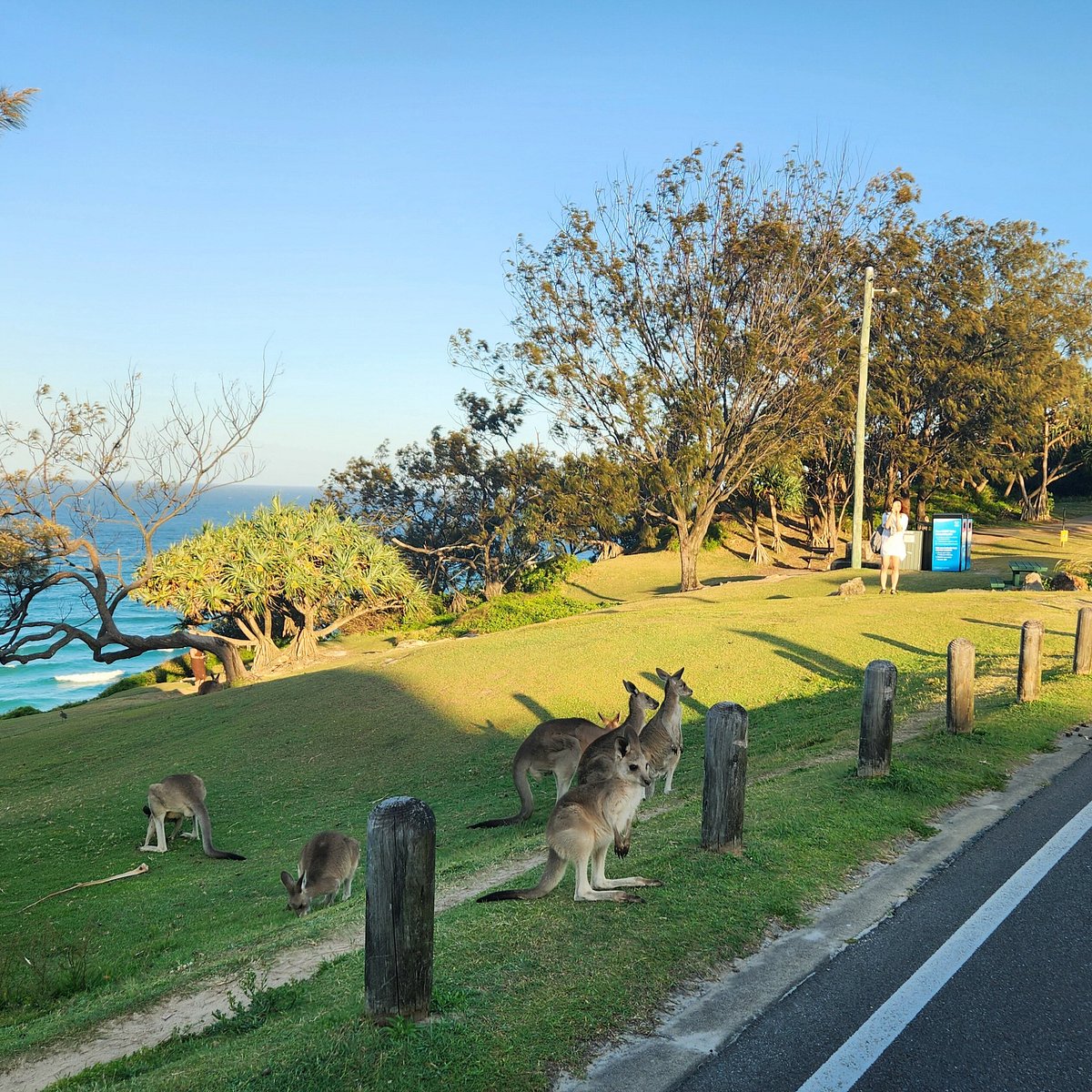 Kangaroo Point