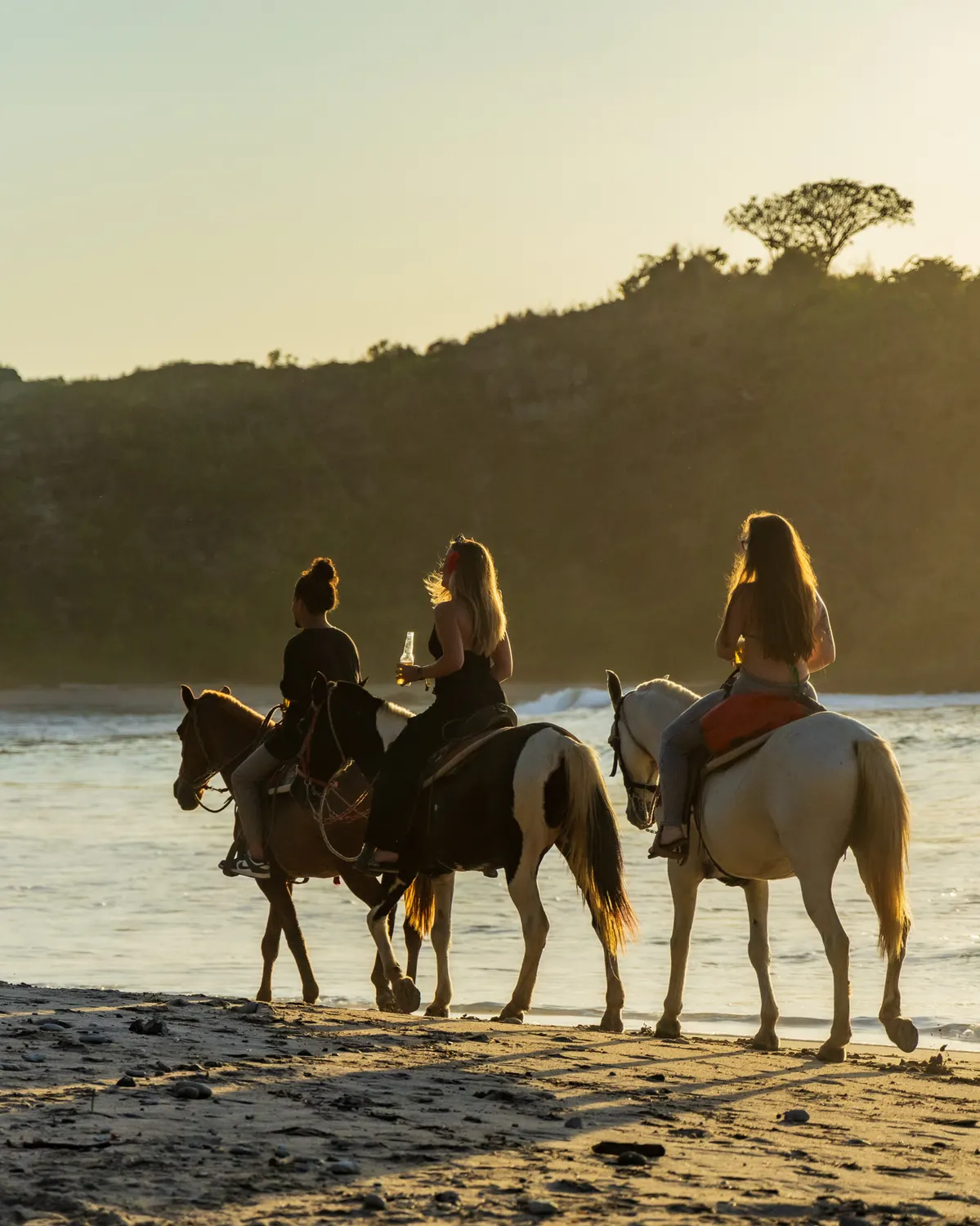 Sunset Horse Riding Ibiza
