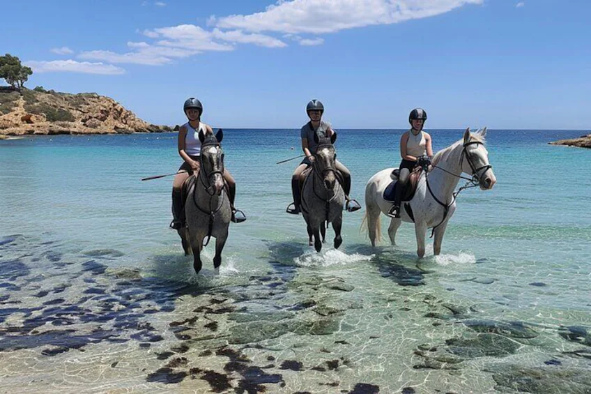 Horse Riding Ibiza San Antonio
