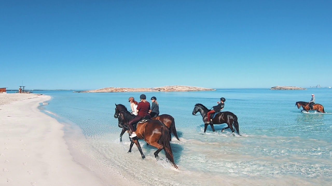 Horse Riding Lessons Ibiza