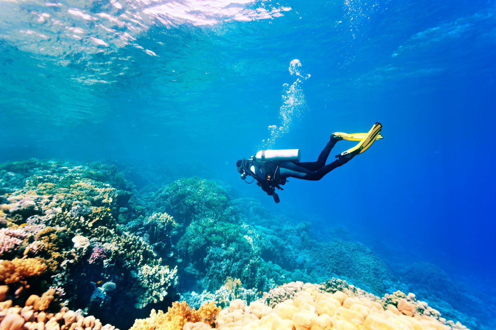 Is There Good Snorkeling in Corfu