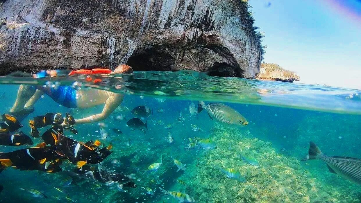 Is There Good Snorkeling in Puerto Vallarta