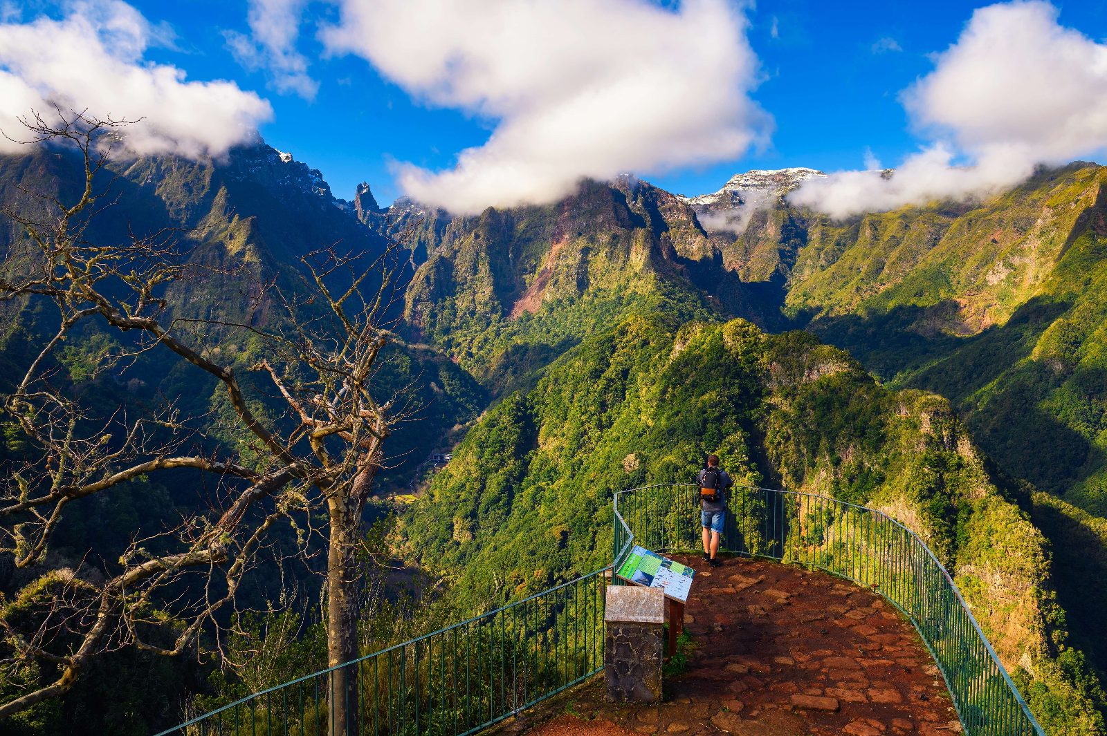 Balcões Viewpoint