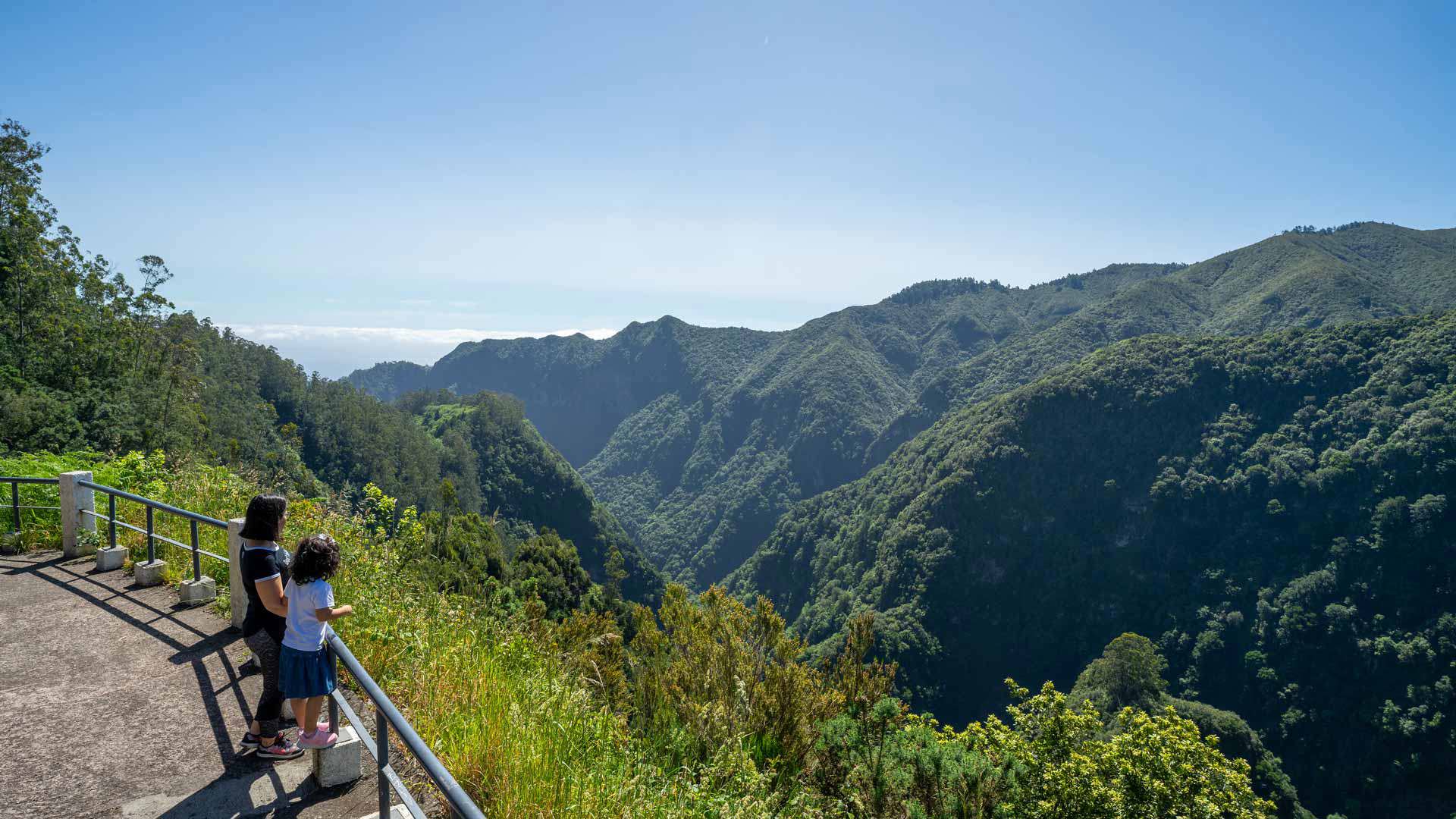 Ribeiro Frio Viewpoint