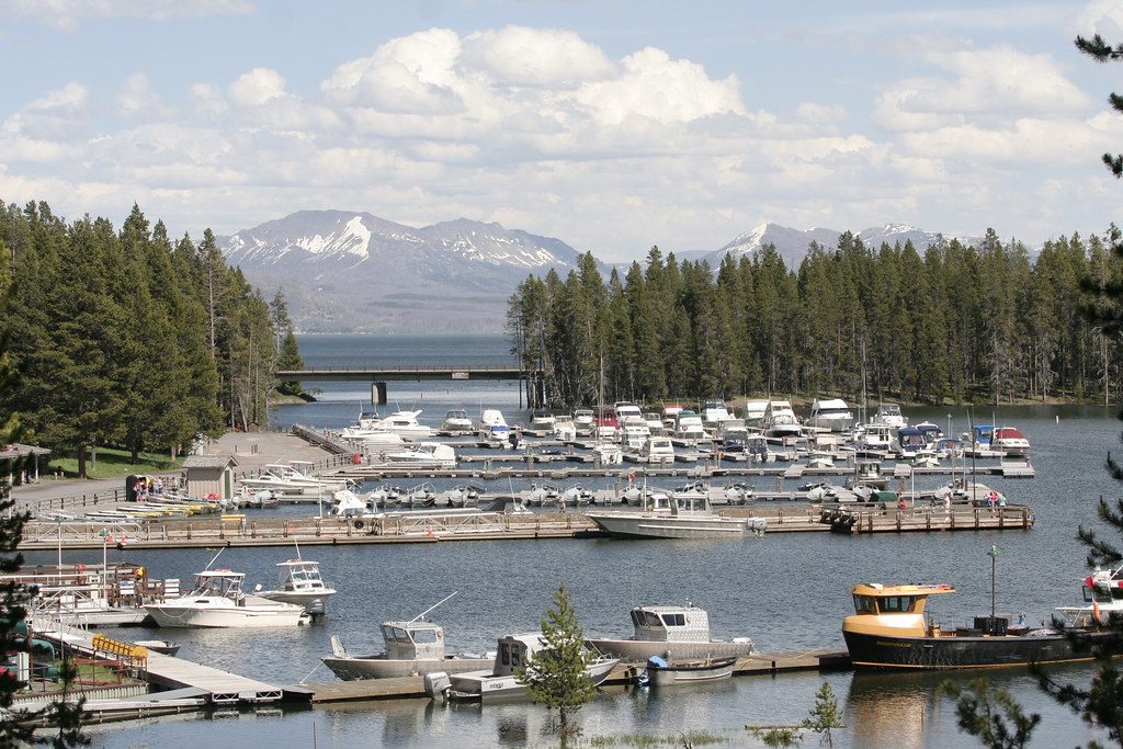 Yellowstone Lake Boat Tour Reviews
