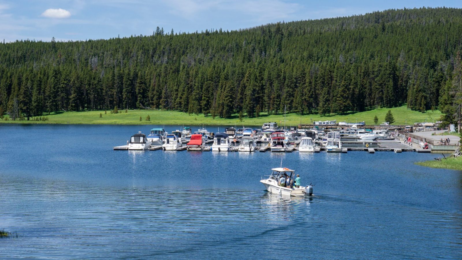 Yellowstone Lake Scenic Boat Tour