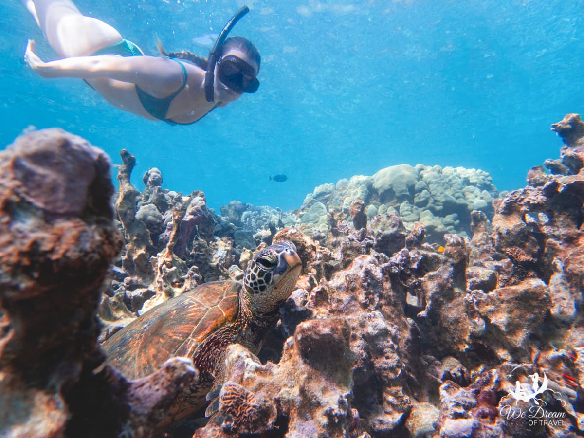 Honolua Bay Snorkeling With Kids
