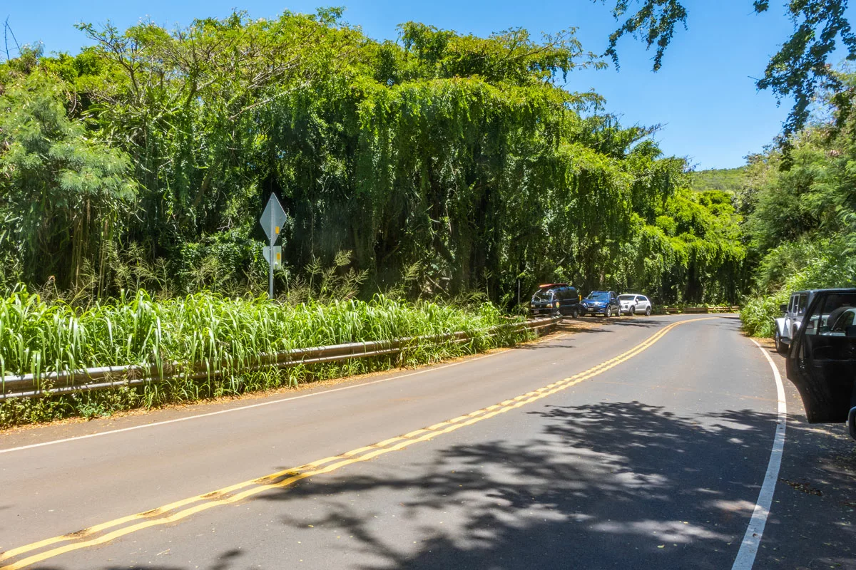 Honolua Bay Snorkeling Parking