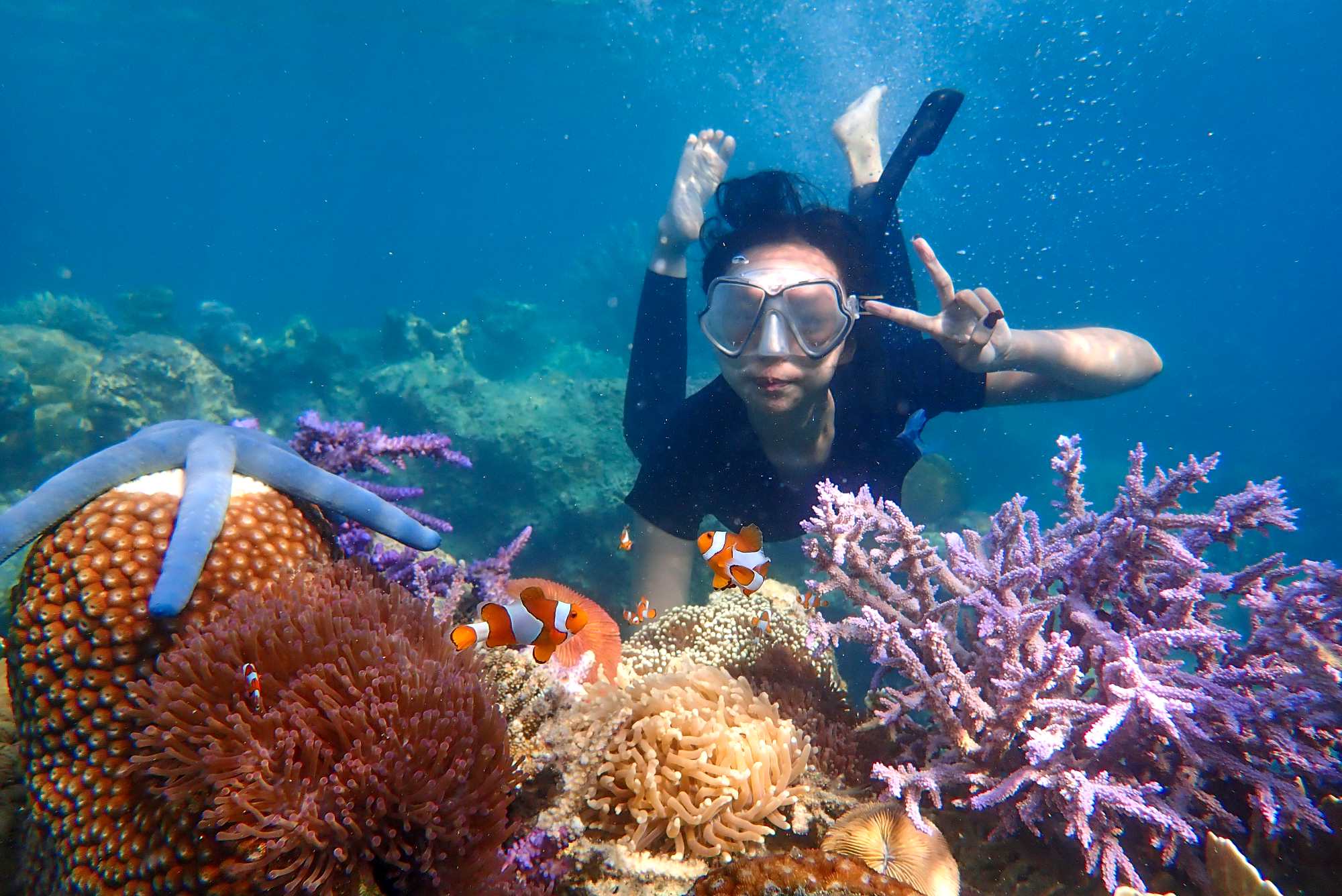 Sapi Island Reef