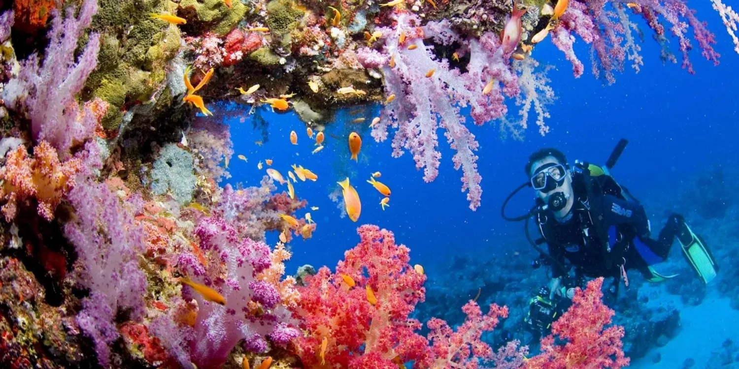 Snorkeling in Langkawi Malaysia