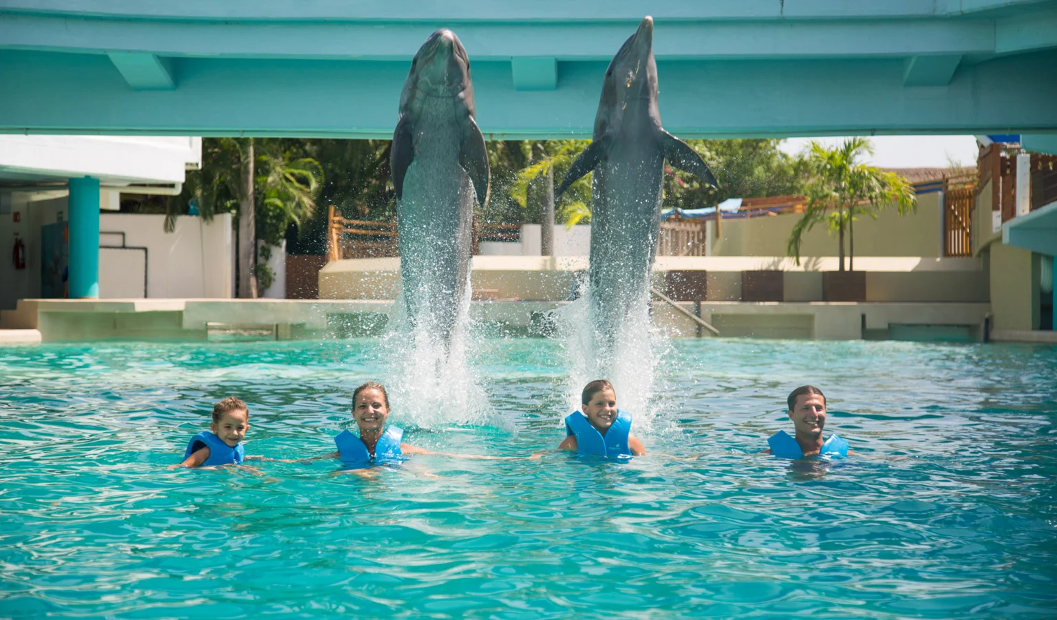 Cost to Swim With Dolphins in Cancun