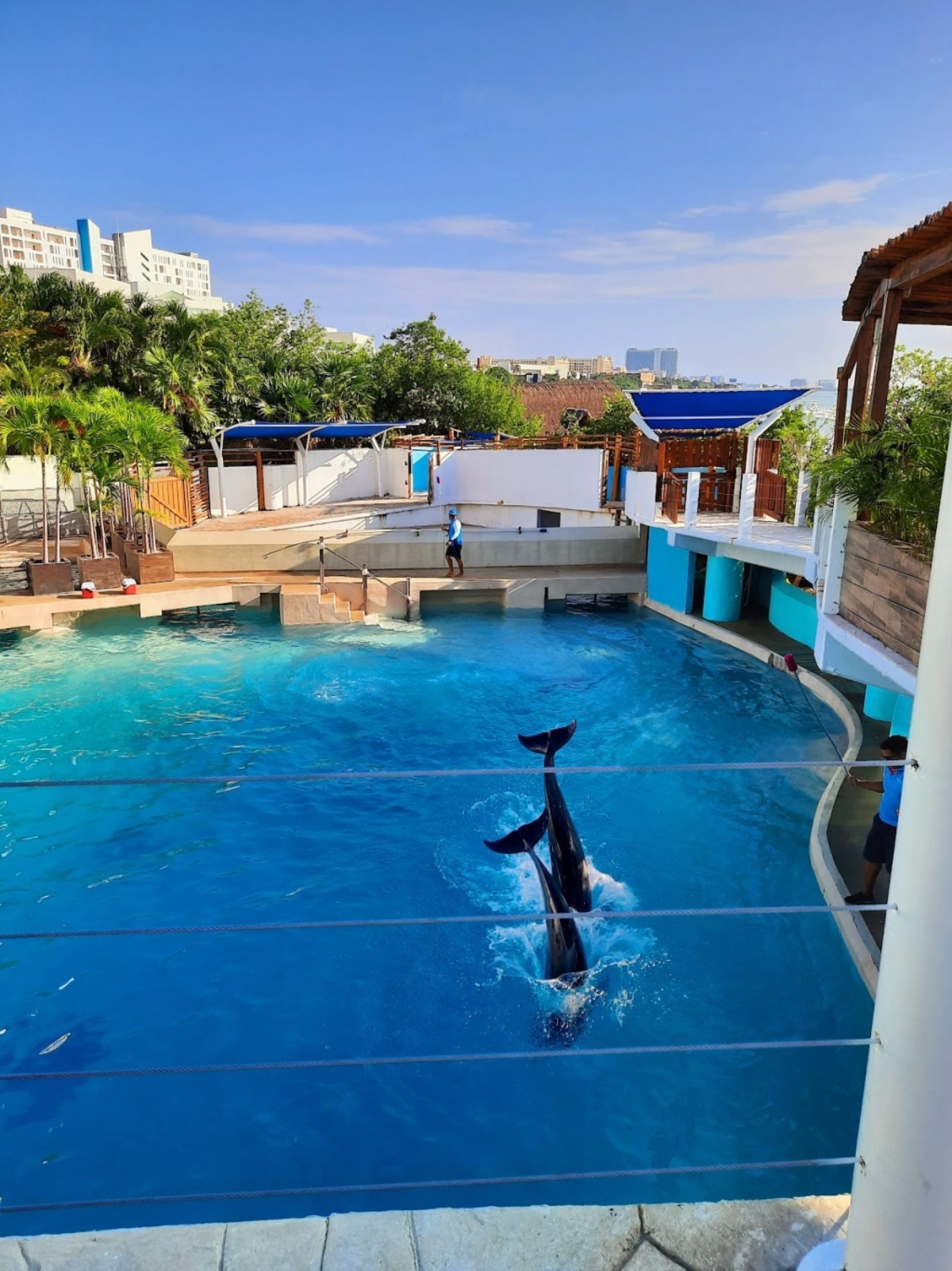 Dolphin Pavilion