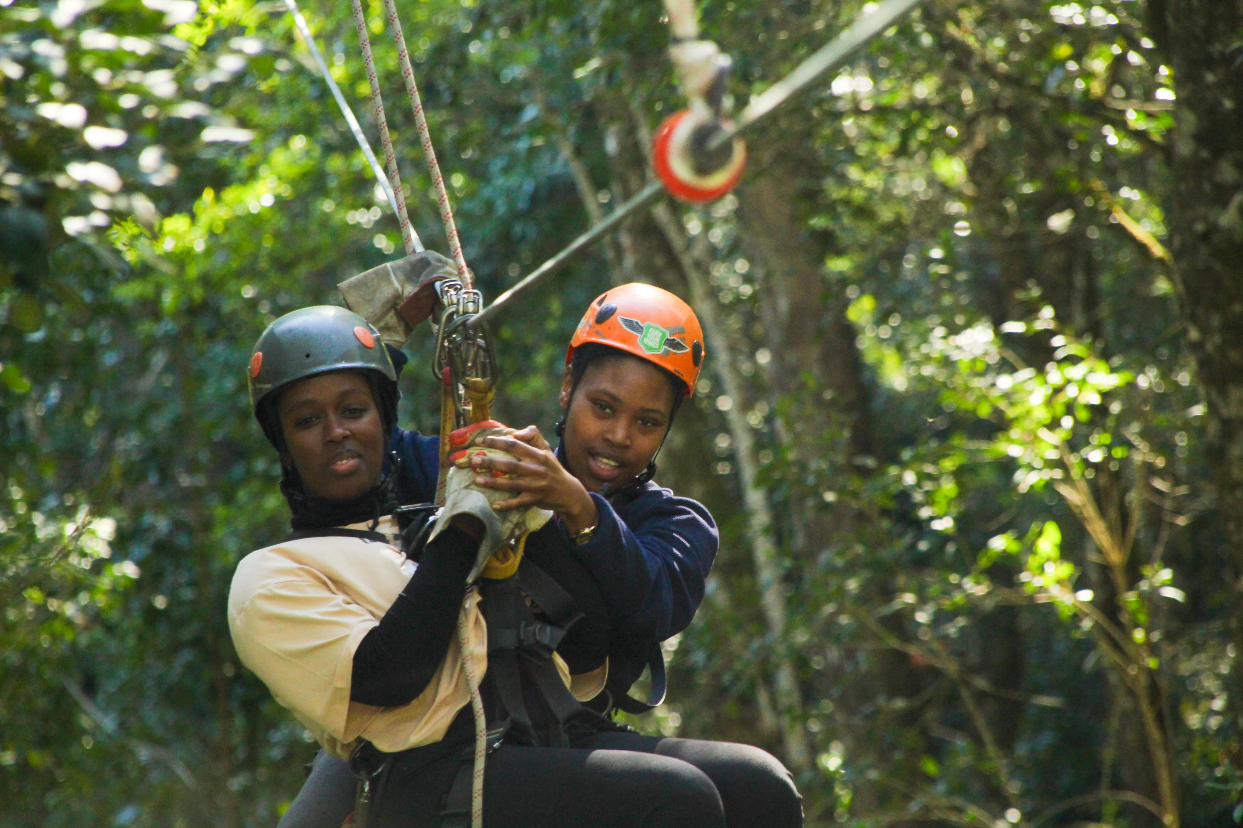Zipline Tsitsikamma Price
