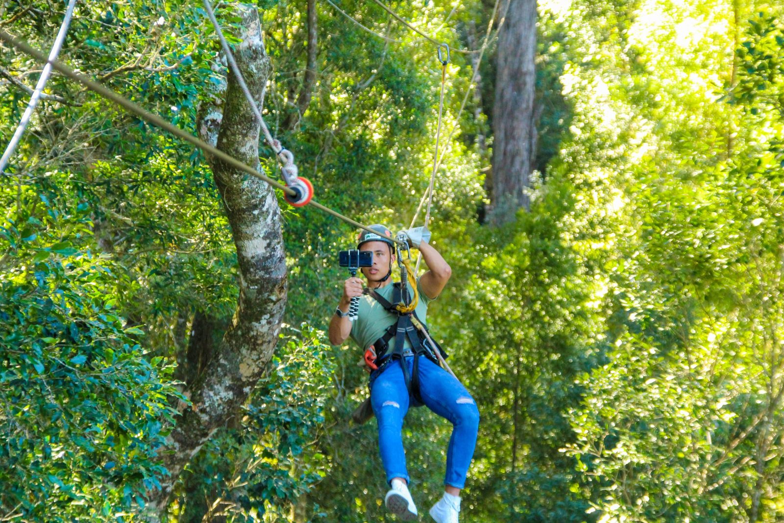 Zipline Tsitsikamma Falls Adventure Reviews