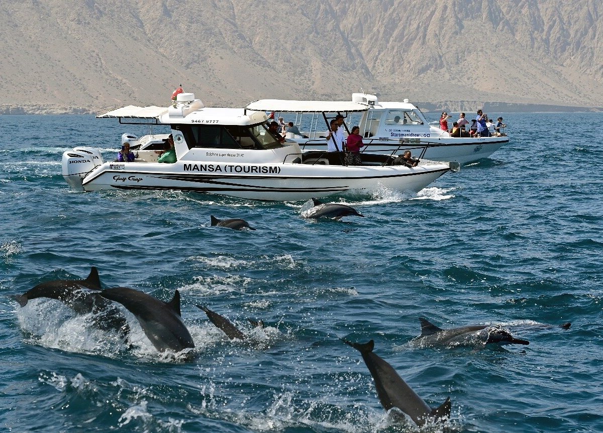 Dolphin Watching Muscat Location