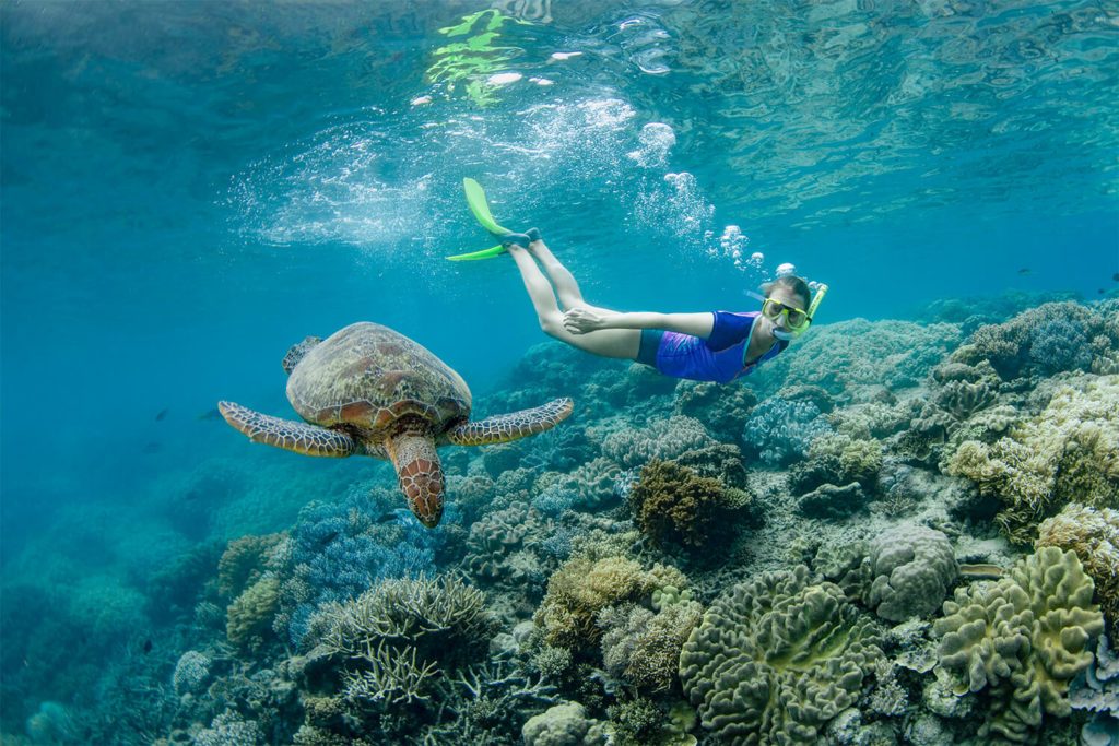 Zanzibar Diving Spots