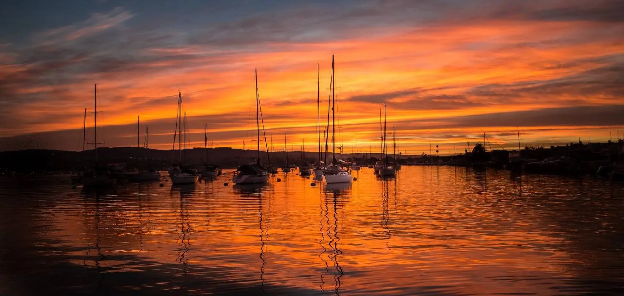 Newport Beach Dinner Cruise Prices