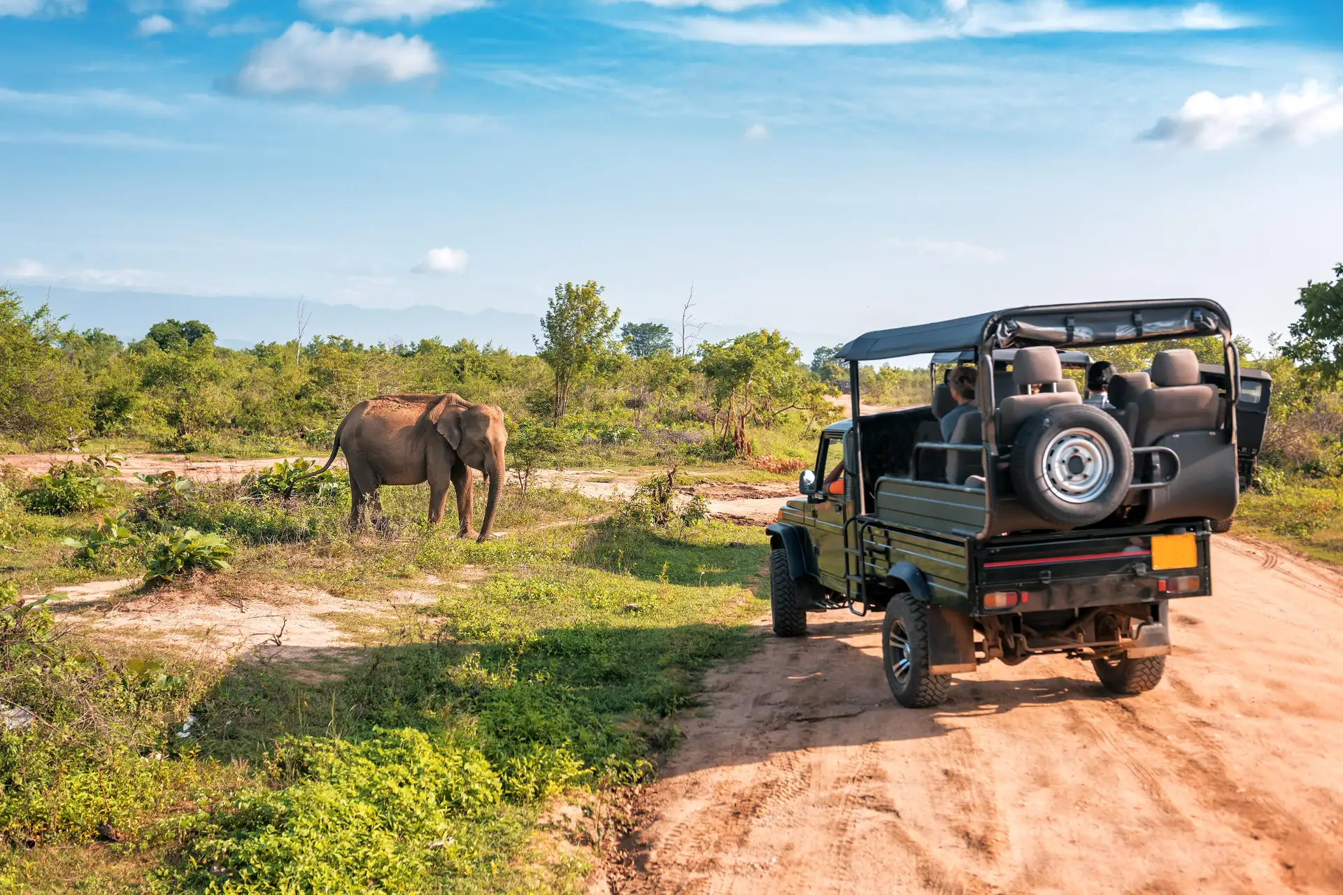 Udawalawe Safari Timings