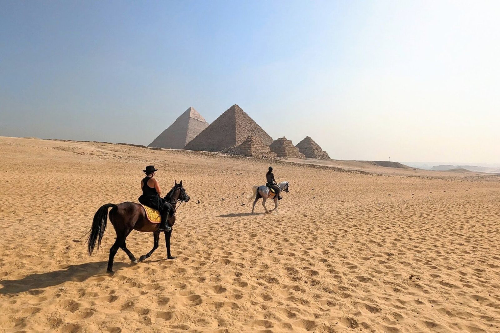 Horse Riding Places in Cairo