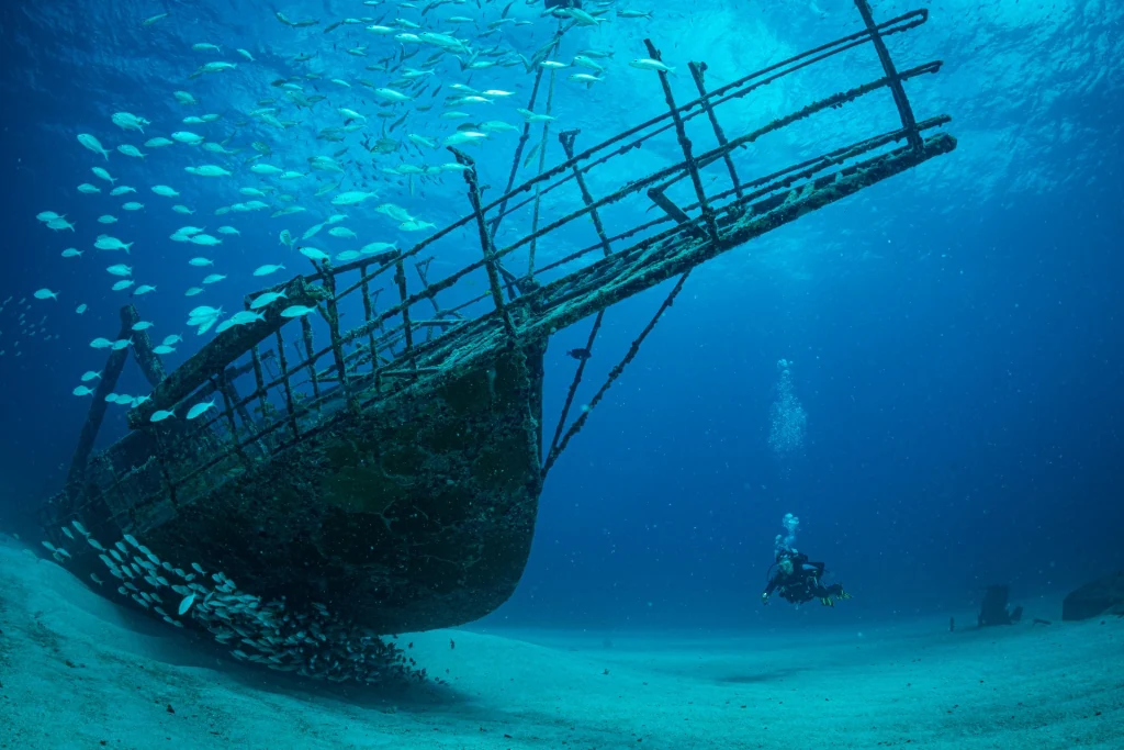Fish Highway