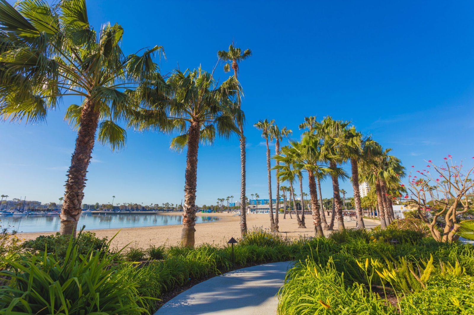 Marina Del Rey Ocean Conditions