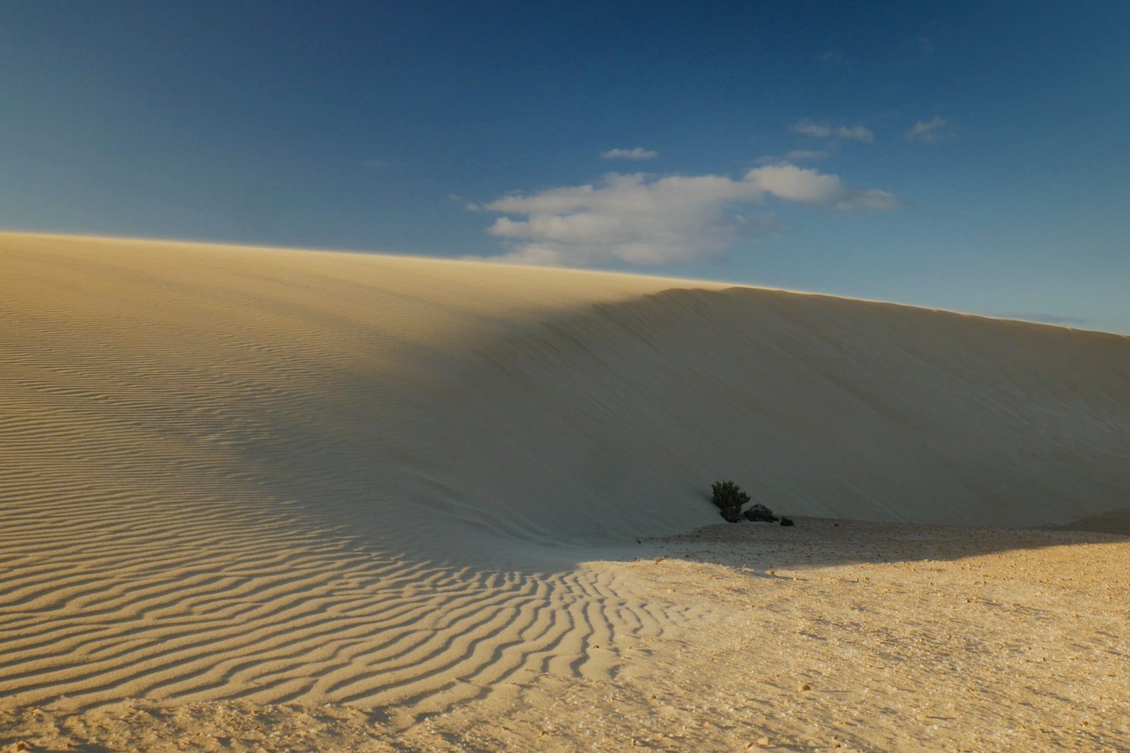 Dunes of Corralejo