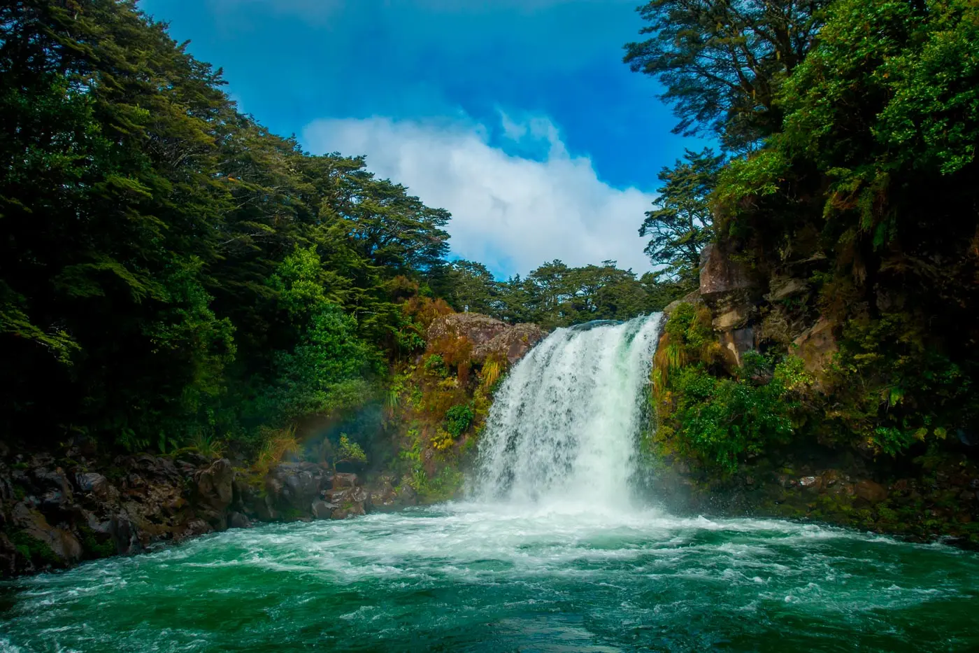 Tawhai Falls Track