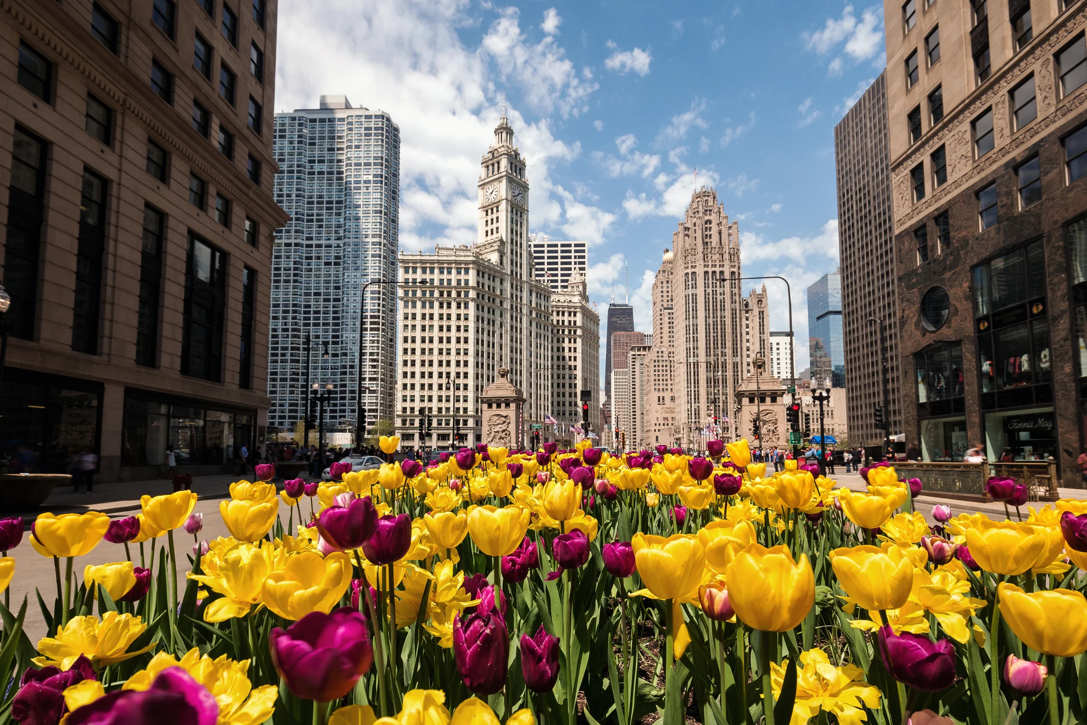 The Magnificent Mile