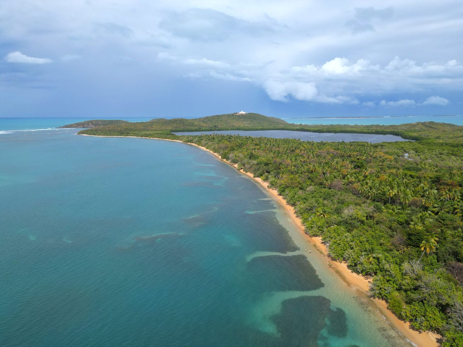 Seven Seas Beach