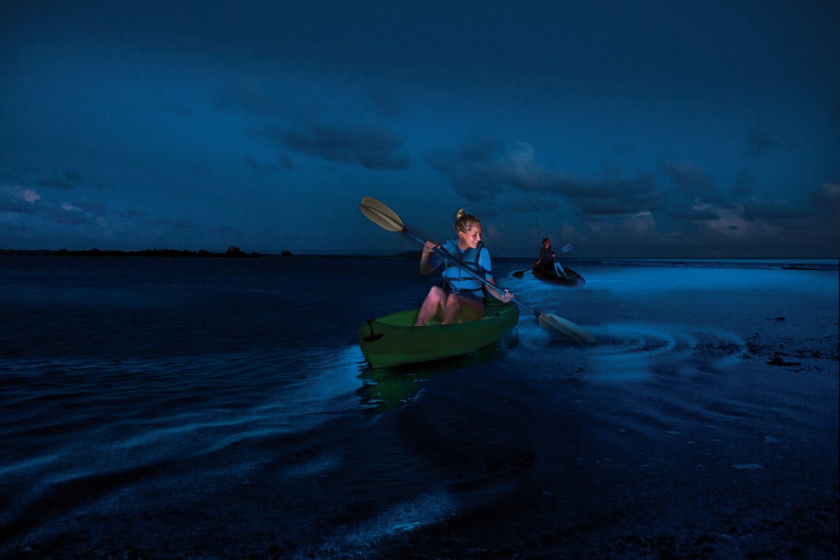 How to Get to Bioluminescent Bay From San Juan