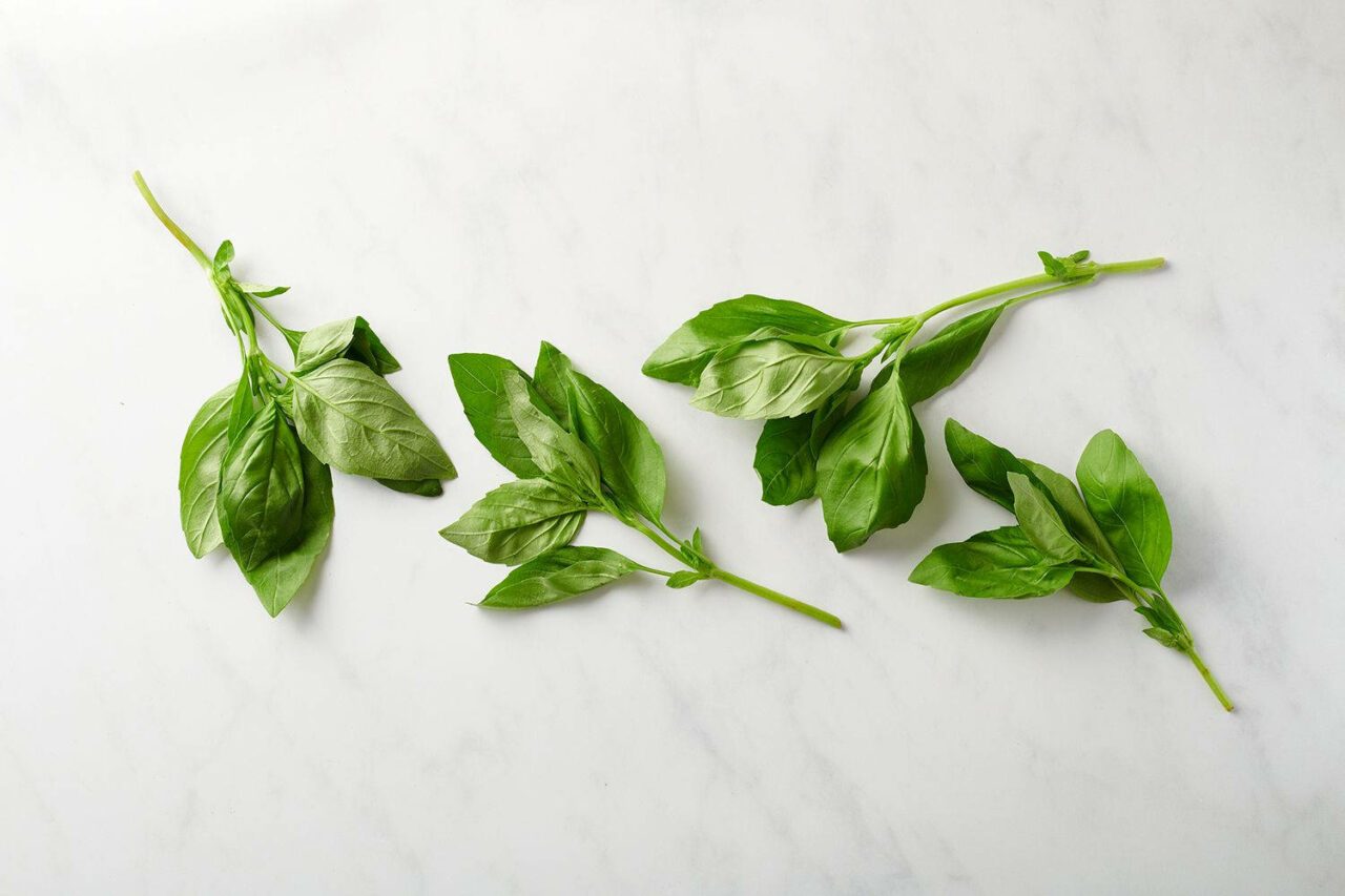 Fresh Herb Garden