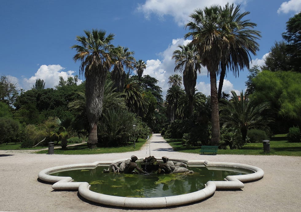 Botanical Garden of Rome