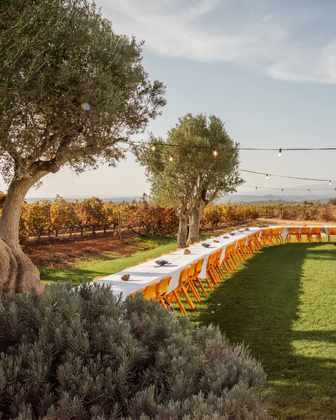 Port Wine Tasting Algarve