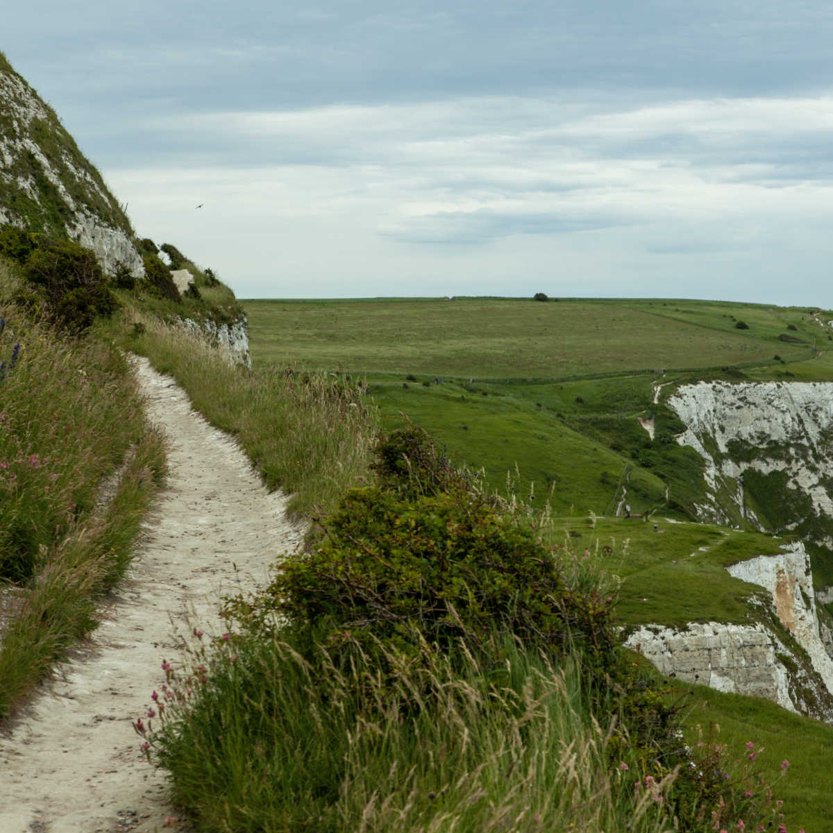 Saxon Shore Way cliff path