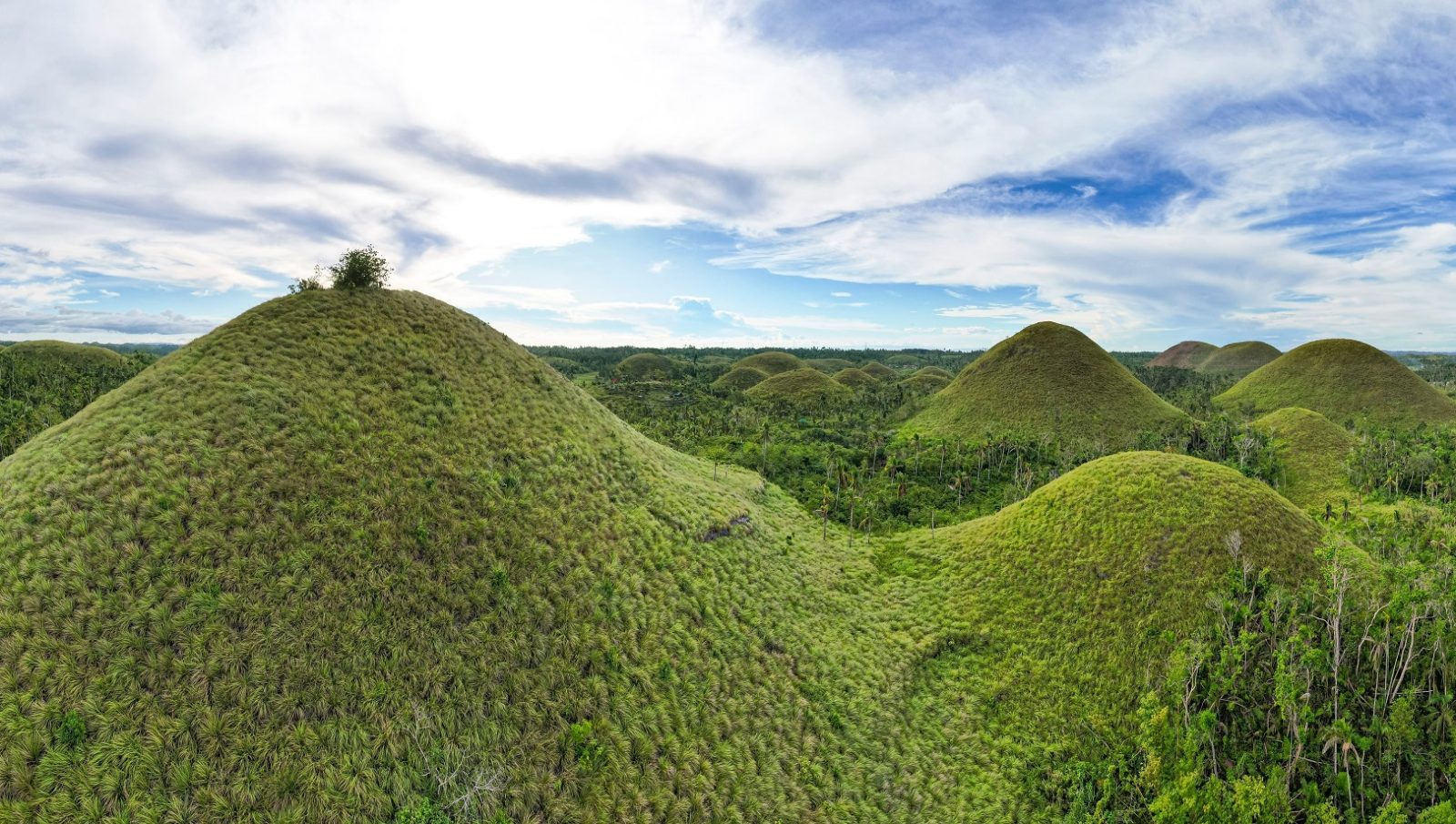The Panoramic Pivot